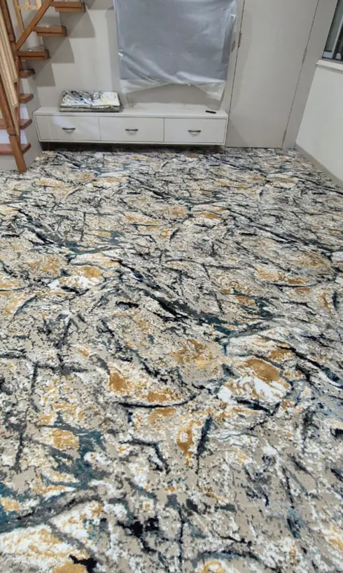 Abstract Modern Design Wall-to-wall carpet
